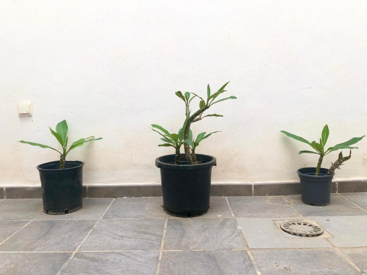 Varela Apartamentos B Malaga Ngoại thất bức ảnh