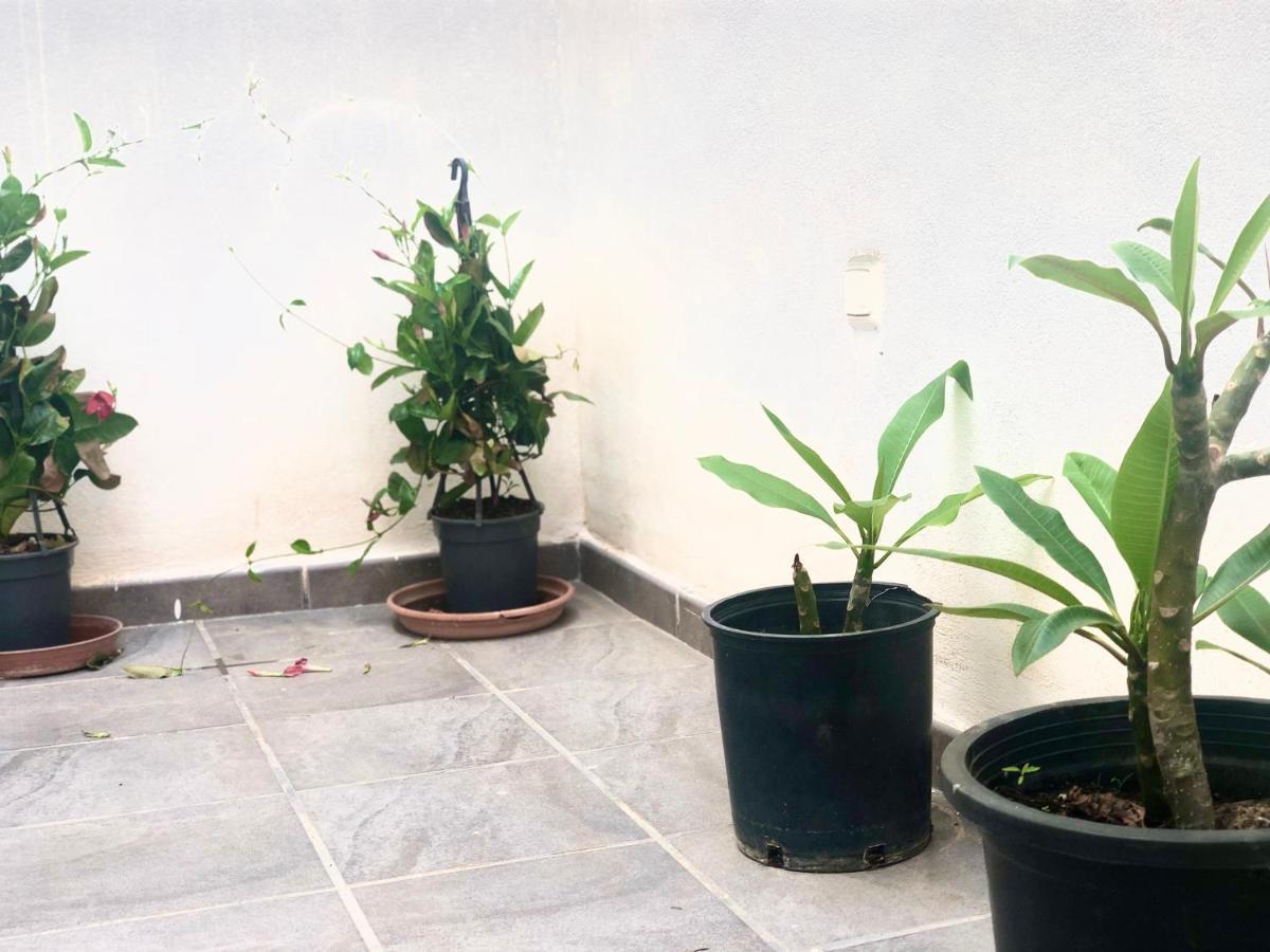 Varela Apartamentos B Malaga Ngoại thất bức ảnh